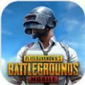 pubg m(国际服)地铁逃生(PUBG MOBILE)