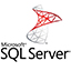 MicrosoftSQLServer2008