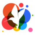 小鸟壁纸自动换壁纸免费版正式下载v2.0.0