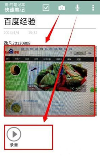 OneNote
