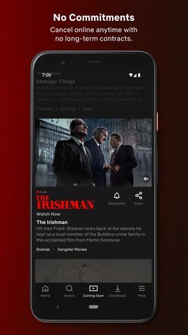 奈飞netflix