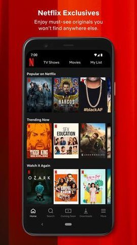 奈飞netflix