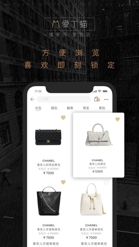 爱丁猫