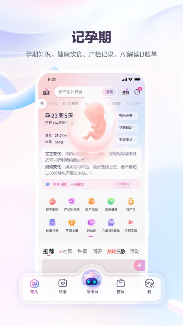 宝宝树