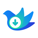 网页视频下载助手