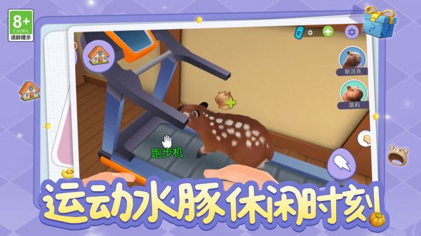 天天养成模拟 天天养成模拟