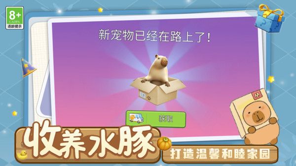 天天养成模拟 天天养成模拟