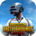 PUBG国际服体验服