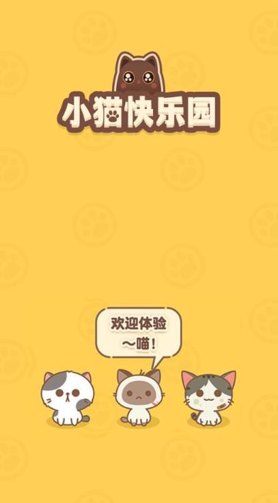 小猫快乐园 小猫快乐园