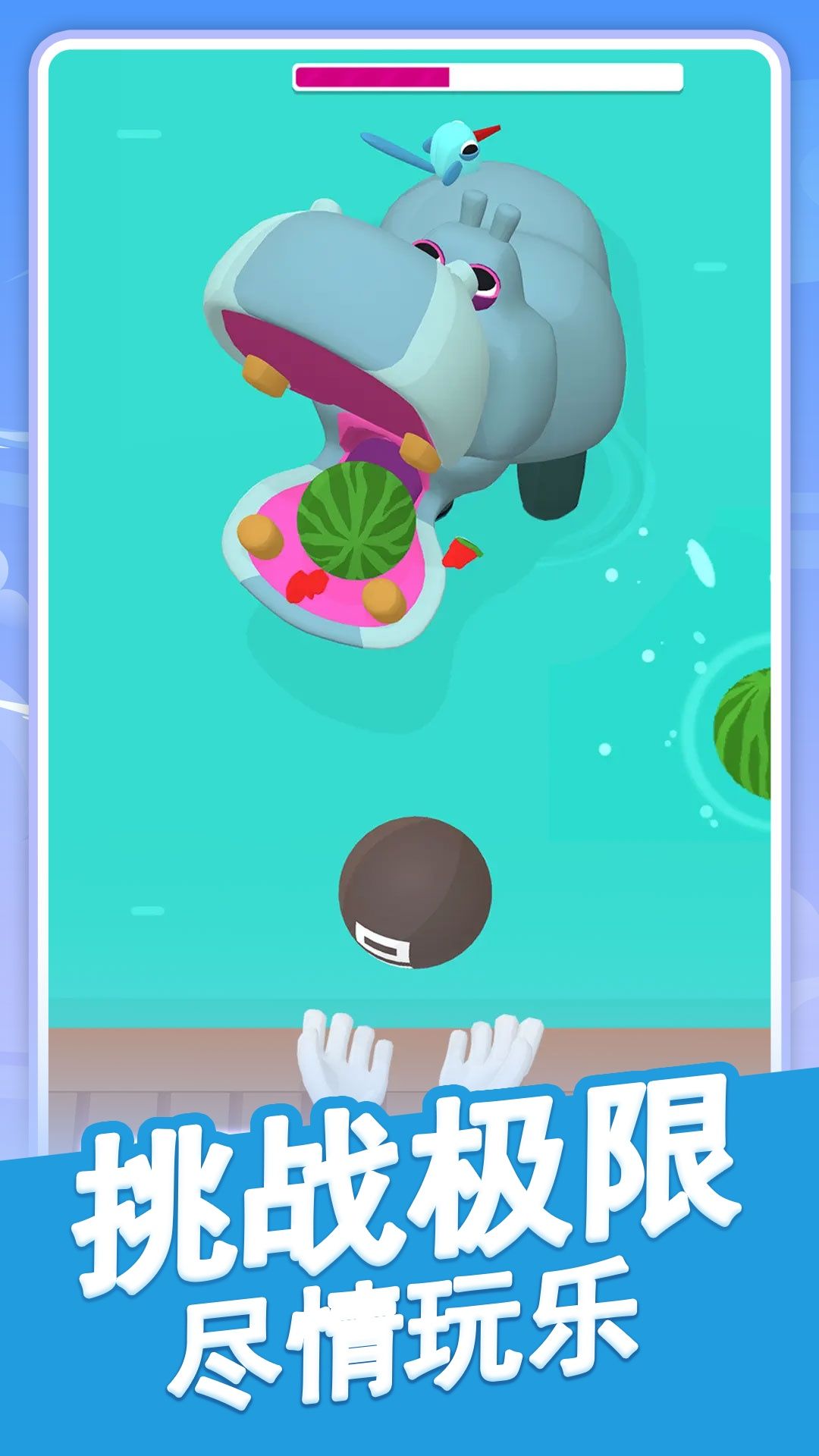 萌宠护理师 萌宠护理师