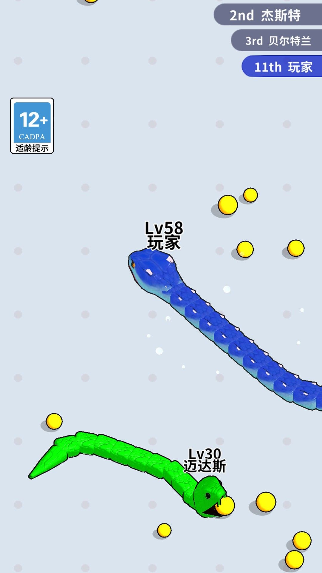蛇蛇大行动 蛇蛇大行动